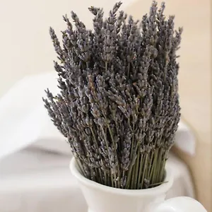 Lavandula Ring Appartamento Tirana